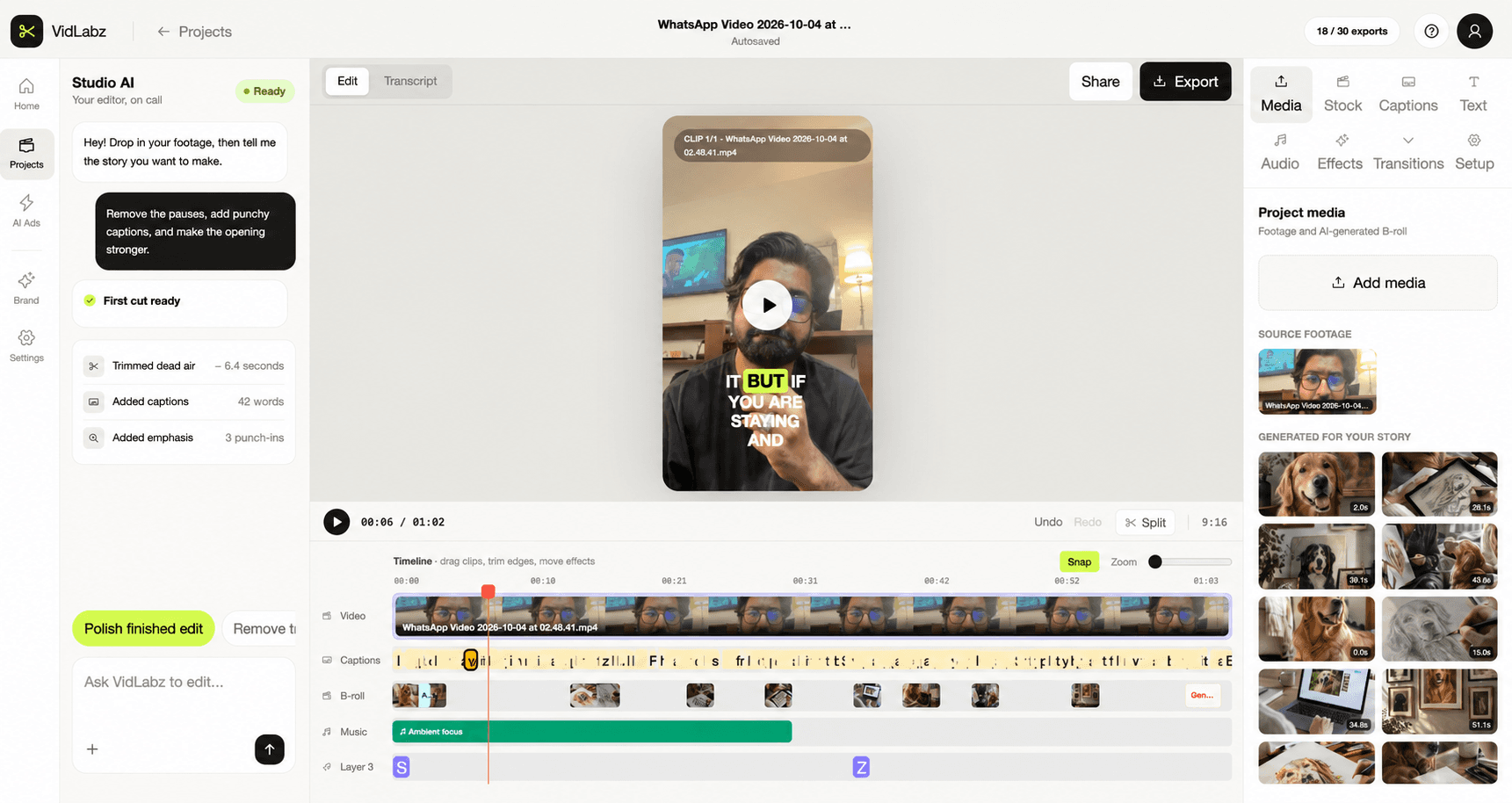 VidLabz AI video editor showing a creator video, captions, generated B-roll, music and an editable multitrack timeline